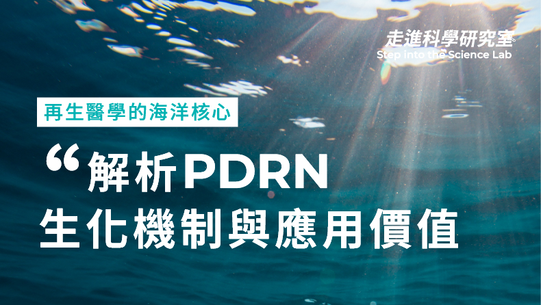 再生醫學的海洋核心：解析 PDRN 之生化機制與應用價值